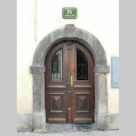 Apartament Old Town 14 Lublana Zewnętrze zdjęcie